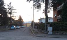 Trova i ladri in casa, il cagnolino li mette in fuga