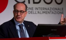 De Castro: «Nuove regole Ue per proteggere l'alimentare. Export da record»