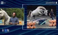 Salva i cavalli dai maltrattamenti: la storia di Federico su Rai1