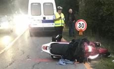 Cinghiale attraversa la strada, 70enne lo centra con lo scooter: è grave