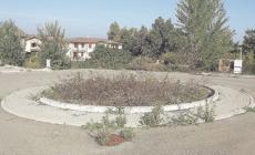 Prigionieri delle erbacce a pochi passi dal Municipio