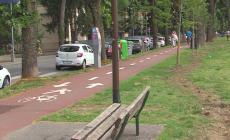 Trenta tigli (donati dalla coop Cabiria) in via Varese - Video
