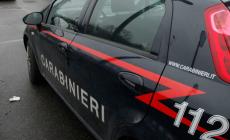 Fermati con 130 bulbi di papavero da oppio in auto: due denunciati