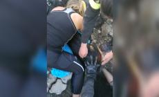 La cagnolina Mela bloccata da 24 ore in un tubo: così la salvano (tra gli applausi) i vigili del fuoco - Video 
