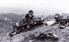 Ari Fidenza, mezzo secolo tra passione e innovazione