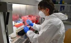 Nessun decesso a Parma e tre nuovi positivi nelle ultime 24 ore. Tre morti in tutta la regione