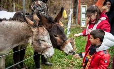 Al Maria Luigia la Pet Therapy porta gli asinelli