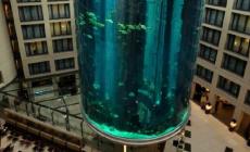 Acquario esploso a Berlino, il racconto del parmigiano: «Botto enorme, come un terremoto»