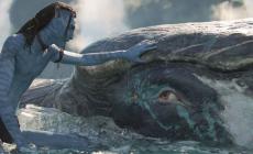 Avatar - La via dell'acqua: spettacolare il 3 D subacqueo di Cameron