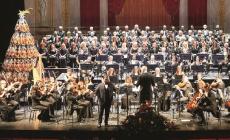 &laquo;Concerto sotto l&rsquo;albero&raquo;, la musica che fa davvero bene