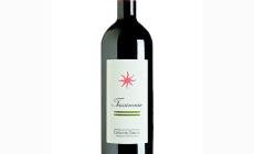 Cabernet Sauvignon e Merlot in parti uguali: equilibrio di spessore 