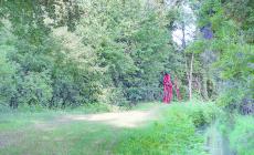 Sentiero d'arte, magica passeggiata nel verde e tra le opere: riparte Parma 2020 
