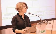 Socogas, la crescita continua: innovazione e persone al centro