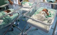 Nascite, riecco papà e parenti in reparto