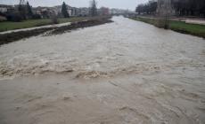 È tornata la Pärma voladóra