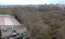 &laquo;Palestra per tutti&raquo;, il Comune finanzia l'aumento dei costi