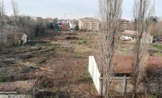 Ex Castelletto, tagliati tutti gli alberi, via ai lavori della scuola