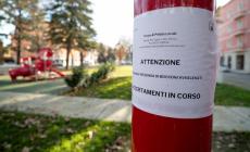 Allarme bocconi avvelenati in piazzale Pablo
