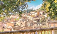 Dove l'inverno è giallo: questa è la stagione per scoprire la Strada della mimosa
