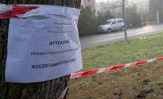 Uccisi due conigli in via Paradigna