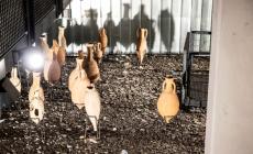 Ponte romano, nel sottopasso la storia convive con i rifiuti