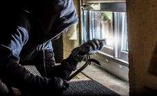 Ladri in azione a Collecchio: rubate motoseghe