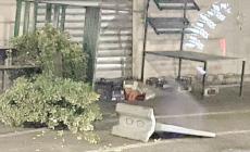 Vandali scatenati in via Trento: metronotte rimette tutto a posto
