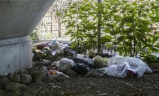 Via Doberdò: spaccio e immondizia