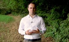 World Rainforest Day, Gran Cereale ripristina 6  aree boschive italiane  - Video
