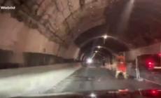 La prima auto sul nuovo ponte di Genova: timelapse con camera-car