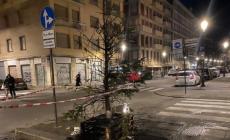 Dato alle fiamme l'albero de «I nostri borghi»