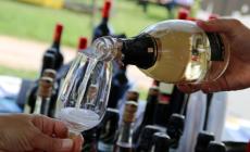 I vini di Parma, ecco come le guide parlano delle nostre cantine: la classifica
