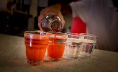 Alcol e psicofarmaci, morta a Monza una 18enne a casa di un'amica