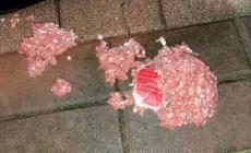 Basilicanova, polpetta avvelenata nel cortile. In salvo il cane