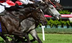 Morta a 25 anni travolta dal cavallo