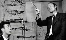 Dna: 70 anni fa la scoperta della «doppia elica», il codice della vita