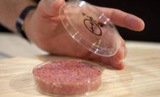 Stop a cibo sintetico, in bozza Ddl multe fino a 60mila euro