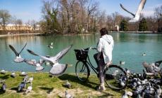 Animali morti al Parco Ducale: scatta l'allarme bocconi avvelenati, ma i cartelli di avviso spariti?