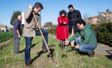 &laquo;Un albero per ogni voto&raquo; Boschini crea una barriera verde a San Pancrazio con 149 piante