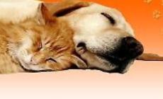 La casa degli Animali - Indice