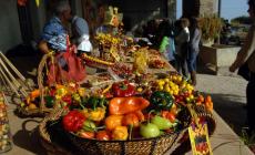 Mostra mercato del peperoncino