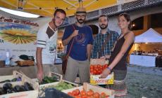 "Ortocolto" torna a Busseto fra agricoltura e biodiversità