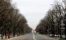 Stradone e non solo: 67 nuovi alberi in arrivo. Ecco dove saranno piantati