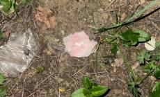 Ancora bocconi avvelenati: tre pastiglie dentro al prosciutto