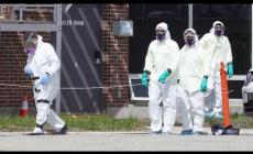 Focolaio in un'azienda agricola del Ravennate