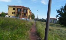 Fidenza, allarme bocconi avvelenati nella zona di Villa Ferro