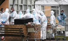 Australia, cinque milioni di persone in lockdown