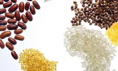 Lotta a fame e sprechi: a Milano il Forum dell'alimentazione 