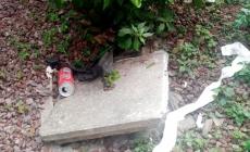 Appena sistemate e già vandalizzate le aiuole dei Nuovi Terragli
