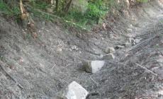 Caduta di massi sulla Provinciale 36